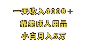 一天收入4000+，靠卖成人用品，小白轻松月入5万【揭秘】-第一资源网