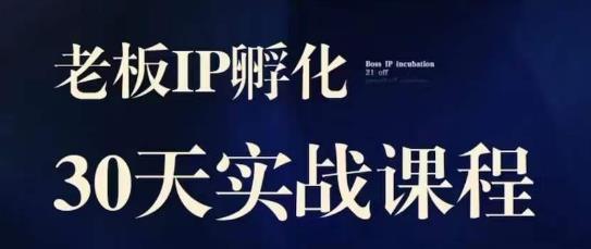 诸葛·2023老板IP实战课，实体同城引流获客，IP孵化必听-第一资源网