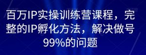 百万IP实操训练营课程，完整的IP孵化方法，解决做号99%的问题-第一资源网