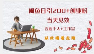 闲鱼精准引流创业粉，日引200+，当天见效，从此横着走-第一资源网