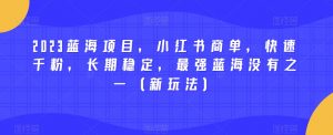 2023蓝海项目,小红书商单,快速千粉,长期稳定,最强蓝海没有之一(新玩法)-第一资源网