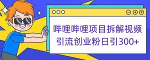 哔哩哔哩项目拆解引流创业粉日引300+小白可轻松上手【揭秘】-第一资源网