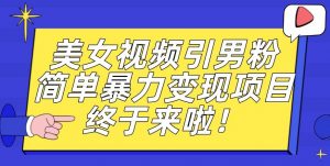 价值3980的男粉暴力引流变现项目，一部手机简单操作，新手小白轻松上手，每日收益500+【揭秘】-第一资源网