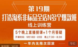 打造淘系非标全店N多个爆款线上课，​5天直播课-第一资源网