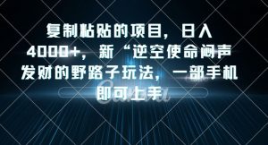 复制粘贴的项目，日入4000+，新“逆空使命“闷声发财的野路子玩法，一部手机即可上手-第一资源网
