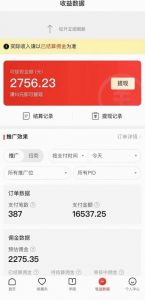 拼多多无人直播不封号玩法,0投入,3天必起,日入1000+-第一资源网