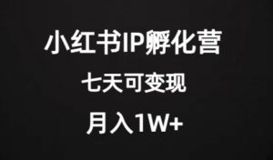 价值2000+的小红书IP孵化营项目,超级大蓝海,七天即可开始变现,稳定月入1W+-第一资源网