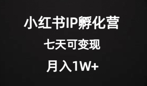 价值2000+的小红书IP孵化营项目，超级大蓝海，七天即可开始变现，稳定月入1W+-第一资源网