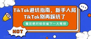 TikTok避坑指南,新手入局TikTok别再踩坑了-第一资源网