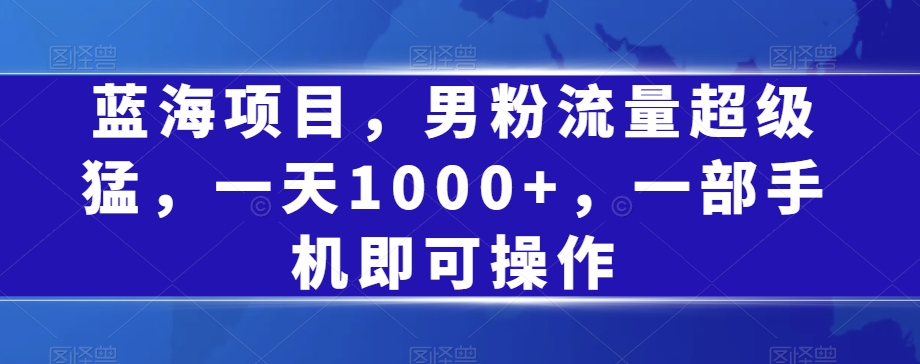 蓝海项目，男粉流量超级猛，一天1000+，一部手机即可操作【揭秘】-第一资源网