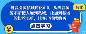 抖音引流私域转化6.0，从抖音源源不断把人加到私域，让加到私域的粉丝买单，让客户持续购买-第一资源网