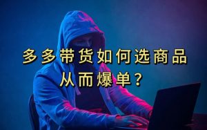 多多视频带货选什么商品链接才能爆单,10分钟教会你,爆单不是浮云【揭秘】-第一资源网