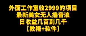 外面工作室收2999的项目最新美女无人撸音浪日收益几百到几千【教程+软件】（仅揭秘）-第一资源网