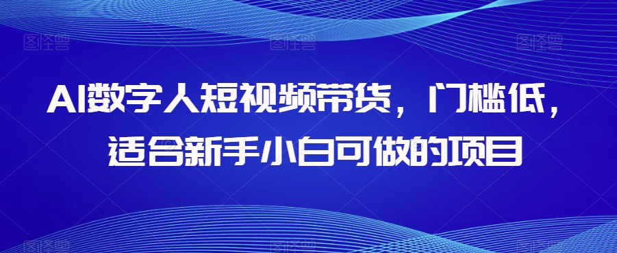 AI数字人短视频带货，门槛低，适合新手小白可做的项目-第一资源网