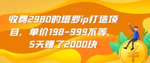 收费2980的塔罗ip打造项目，单价198-999不等，5天赚了2000块【揭秘】-第一资源网