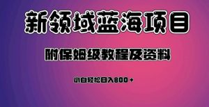 虚拟资源蓝海领域新项目，轻松日入800＋，附保姆级教程及资料-第一资源网