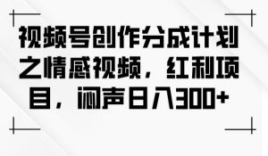 视频号创作分成计划之情感视频，红利项目，闷声日入300+-第一资源网