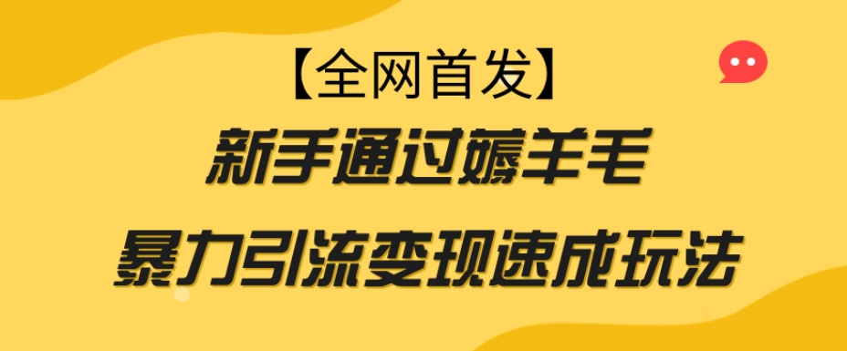 【全网首发】新手通过薅羊毛暴力引流变现速成玩法-第一资源网
