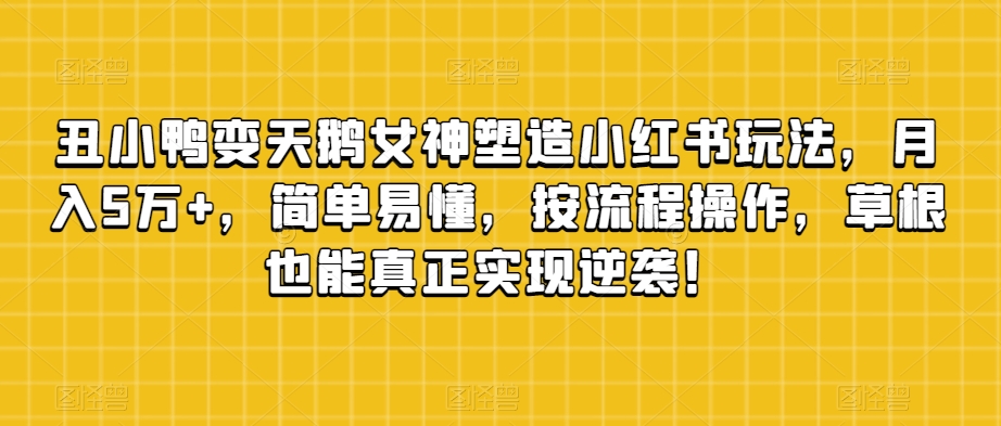丑小鸭变天鹅女神塑造小红书玩法，月入5万+，简单易懂，按流程操作，草根也能真正实现逆袭！-第一资源网