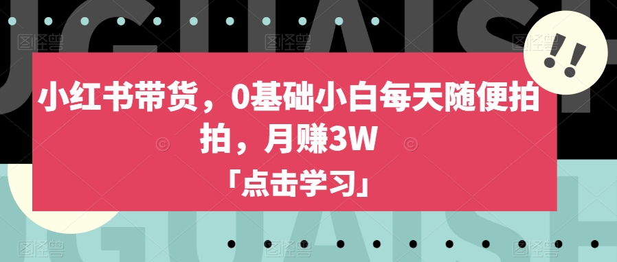 小红书带货，0基础小白每天随便拍拍，月赚3W【揭秘】-第一资源网