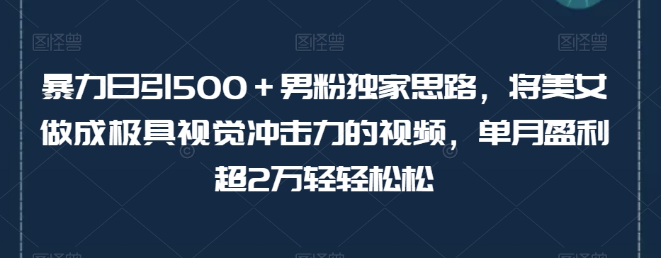 暴力日引500＋男粉独家思路，将美女做成极具视觉冲击力的视频，单月盈利超2万轻轻松松-第一资源网