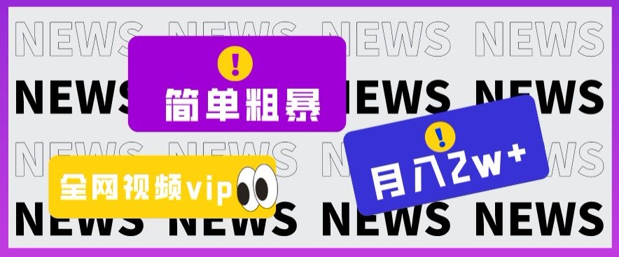 简单粗暴零成本，高回报，全网视频VIP掘金项目，月入2万＋【揭秘】-第一资源网
