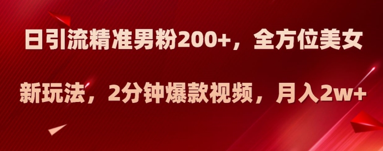 日引流精准男粉200+，全方位美女新玩法，2分钟爆款视频，月入2w+【揭秘】-第一资源网