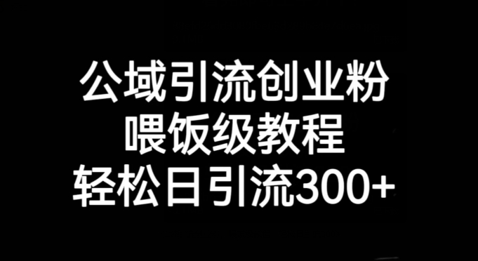 公域引流创业粉，喂饭级教程，轻松日引流300+【揭秘】-第一资源网