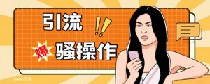 最新引流骚操作，单账号日引50-100，简单粗暴，适合于小白各行各业都可以进行操作，精准粉丝加到爆-第一资源网