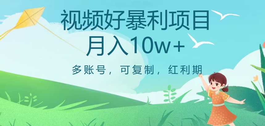 视频号暴利项目，多账号，可复制，红利期，月入10w+【揭秘】-第一资源网