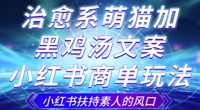 治愈系萌猫加+黑鸡汤文案，小红书商单玩法，3~10天涨到1000粉，一单200左右-第一资源网
