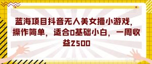 蓝海项目抖音无人美女播小游戏，操作简单，适合0基础小白，一周收益2500【揭秘】-第一资源网