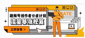 一条视频收益3000+，一条作品涨粉2000+，视频号流量爆炸·的秘籍-第一资源网