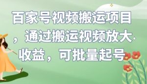百家号视频搬运项目,通过搬运视频放大收益,可批量起号【揭秘】-第一资源网