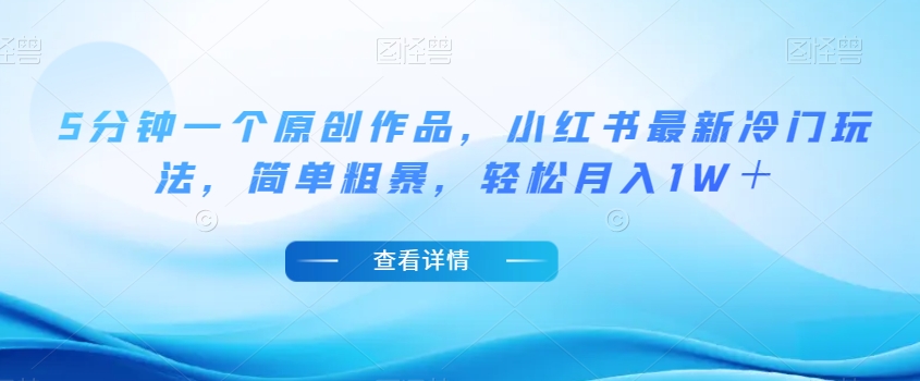 5分钟一个原创作品，小红书最新冷门玩法，简单粗暴，轻松月入1W＋【揭秘】-第一资源网