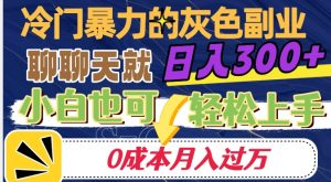 冷门暴利的副业项目，聊聊天就能日入300+，0成本月入过万【揭秘】-第一资源网