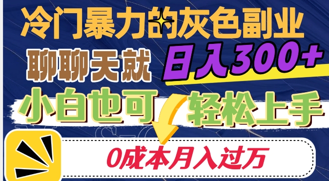 冷门暴利的副业项目，聊聊天就能日入300+，0成本月入过万【揭秘】-第一资源网