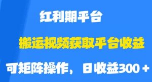 搬运视频获取平台收益，平台红利期，附保姆级教程【揭秘】-第一资源网