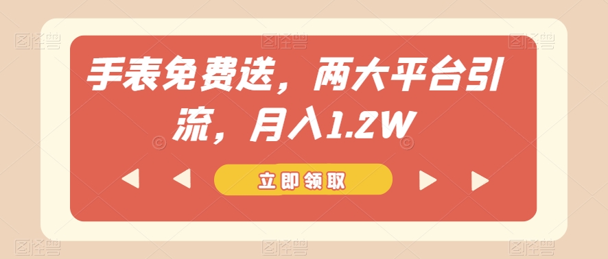 手表免费送，两大平台引流，月入1.2W【揭秘】-第一资源网
