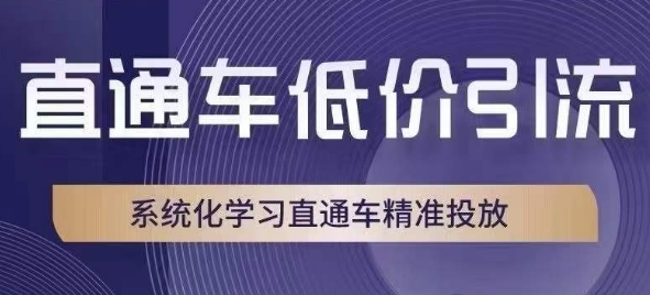 直通车低价引流课，系统化学习直通车精准投放-第一资源网