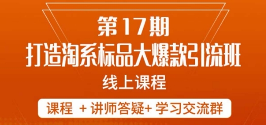 南掌柜-第17期打造淘系标品大爆款，5天线上课-第一资源网