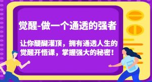 觉醒-做一个通透的强者,让你醍醐灌顶,拥有通透人生的觉醒开悟课,掌握强大的秘密!-第一资源网