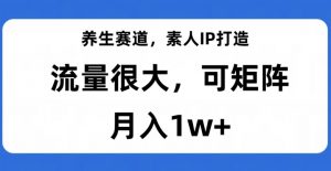 养生赛道,素人IP打造,流量很大,可矩阵,月入1w+【揭秘】-第一资源网