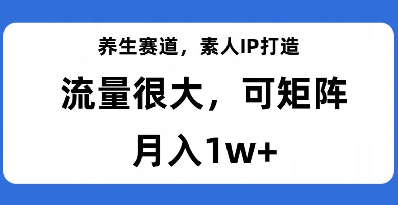 养生赛道，素人IP打造，流量很大，可矩阵，月入1w+【揭秘】-第一资源网