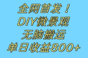 全网首发冷门赛道！DIY微景观，无脑搬运视频，日收益800+【揭秘】-第一资源网