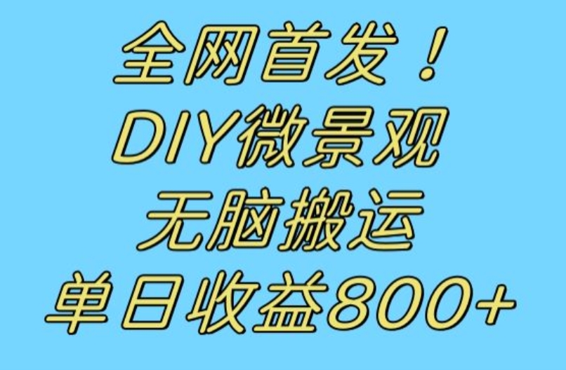 全网首发冷门赛道！DIY微景观，无脑搬运视频，日收益800+【揭秘】-第一资源网