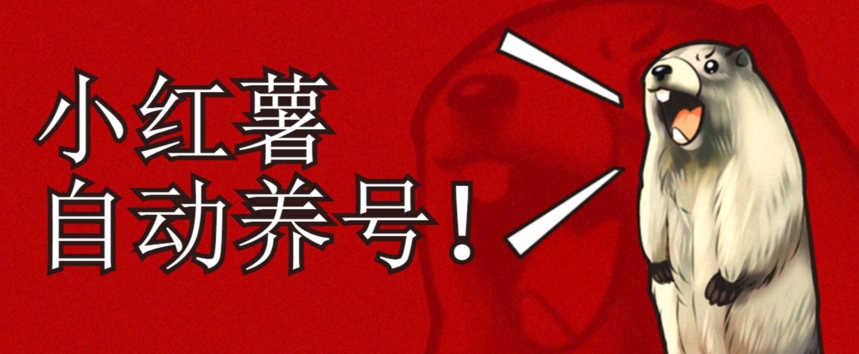 小红书养号秘籍，如何自动涨粉清晰系统标签打造高权重账号【揭秘】-第一资源网