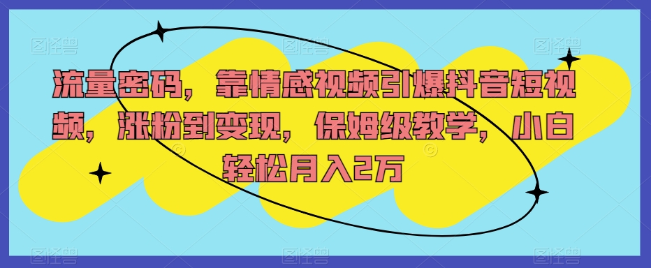 流量密码，靠情感视频引爆抖音短视频，涨粉到变现，保姆级教学，小白轻松月入2万【揭秘】-第一资源网