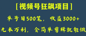 日收款500笔,纯利润3000+,视频号狂飙项目,会简单剪辑就能做【揭秘】-第一资源网