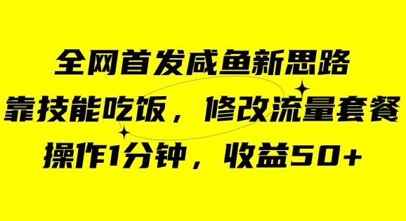 咸鱼冷门新玩法，靠“技能吃饭”，修改流量套餐，操作1分钟，收益50【揭秘】-第一资源网